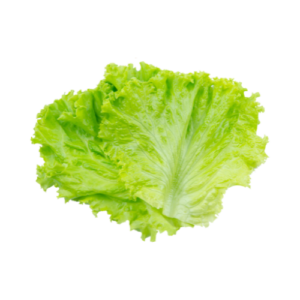 Lechuga Costina 1un