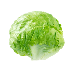 Lechuga Escarola 1un