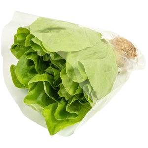 Lechuga Hidroponica Lollo Roble 1un