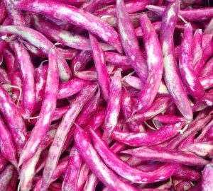 Porotos Granados 1kg