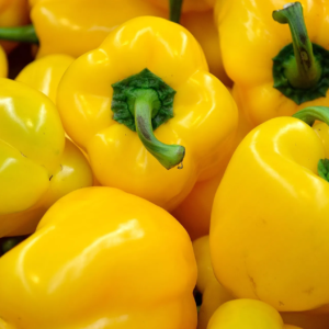 Pimiento Amarillo 1un