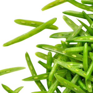 Porotos Verdes Picados 500g