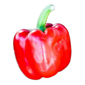 Ají Rocoto Octavo
