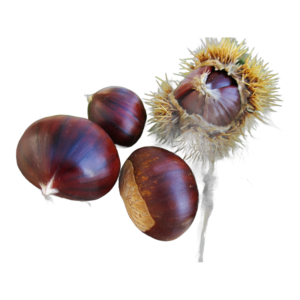 Castañas 1kg