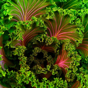 Kale 250g