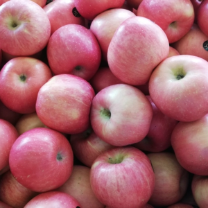 Manzana Pink Lady 1kg